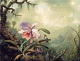 Heliodore's Woodstar and a Pink Orchid by Martin Johnson Heade